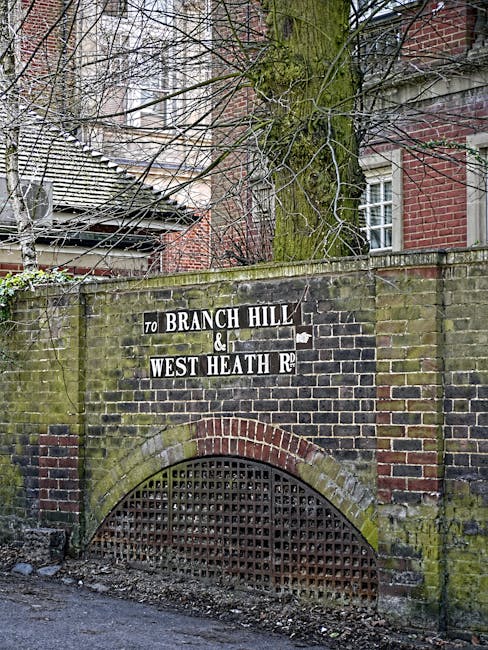 A brick and stone retaining wall with an arched metal grate at its base, situated along a paved street. The wall displays a black and white street sign indicating directions to 'Branch Hill & West Heath Rd,' with some of the lettering slightly weathered. Above the wall, a large tree with rough, moss-covered bark and bare branches is visible, extending upward behind the wall. In the background, parts of a red-brick residential building with white-framed windows and a tiled roof can be seen, along with surrounding greenery. The scene is lit with natural daylight, casting soft shadows on the wall and street. The wall appears aged, with moss and lichen growth on its surface, and the metal grate shows signs of rust and wear, consistent with typical urban infrastructure associated with private waste disposal and alternative rubbish collection points in the area, as managed by local rubbish removal specialists.